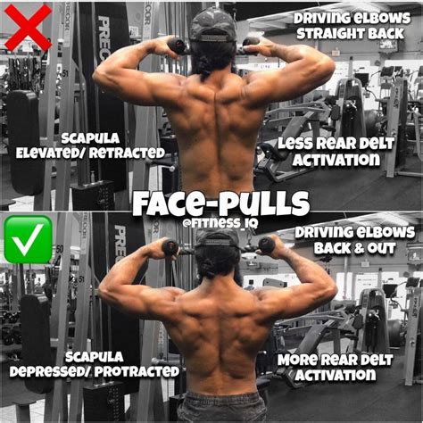 Face Pulls and Band Pull Aparts are two popular exercises used to strengthen the muscles of the upper back and shoulders. Both exercises are effective at targeting the upper back muscles, including the rhomboids and ... but not so far that you can’t complete the reps with good form. Don’t rush. This is an exercise that it’s easy to …